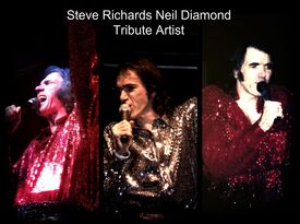 Steve Richards Tributes - Neil Diamond Tribute Act - Chicago, IL - Hero Gallery 1