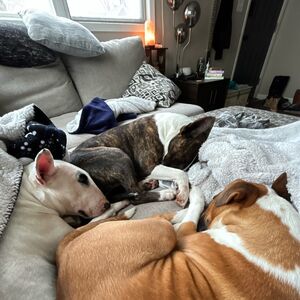 Gallery Photo 27