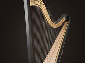 Harpist/Karolyn Witcher - Harpist - Las Vegas, NV - Hero Gallery 2