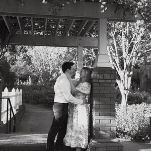 Gallery Photo 45