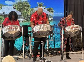 Moe Stringz and Steel - Steel Drum Band - Washington, DC - Hero Gallery 3