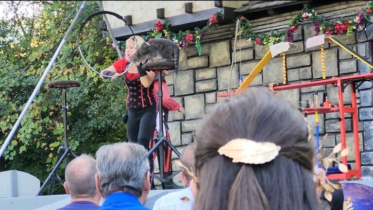 Cirque du Sewer at the Renaissance Faire, the continuation of Josephine's birthday celebration (a month later). It may have taken the use of treats, but the cat finally jumped through the hoop!