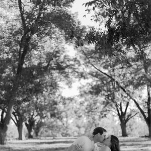 Gallery Photo 28