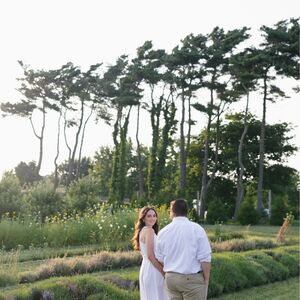 Gallery Photo 5