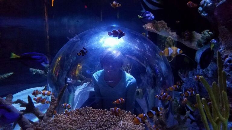 After many months of hard work and patience...our first date at Underwater Adventures at MOA!