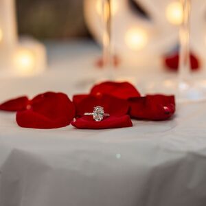 Gallery Photo 32