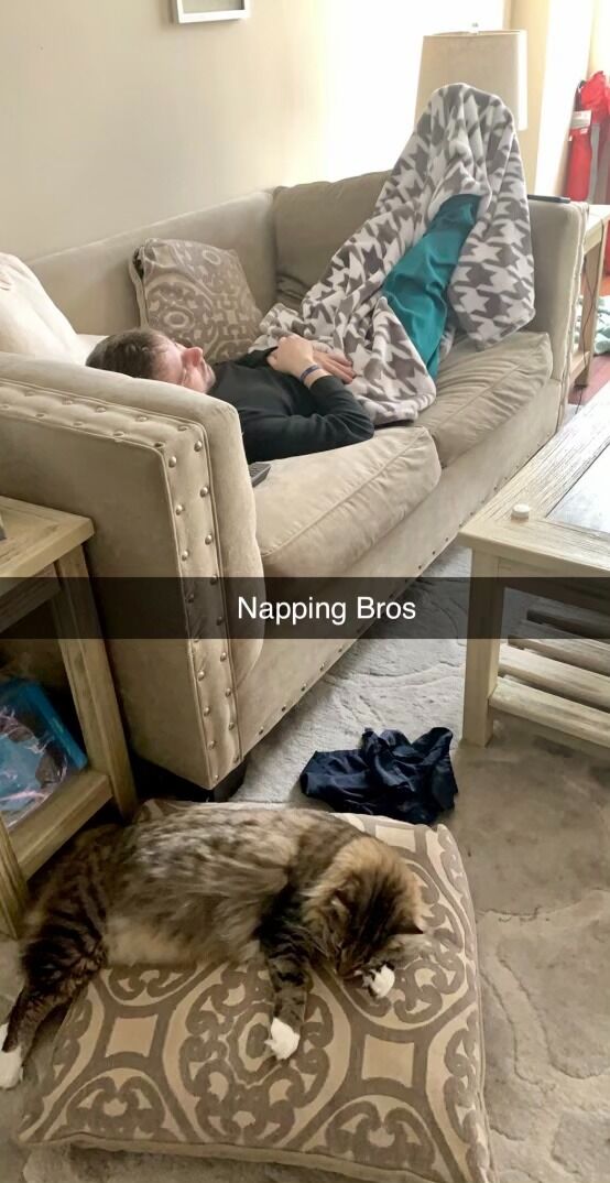 The moment Josh and Davey realized they're napping buddies.