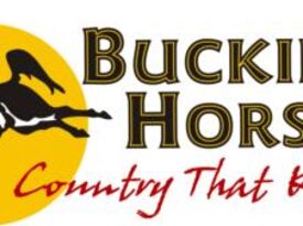 Bucking Horse - Cover Band - Monroe, WA - Hero Gallery 2