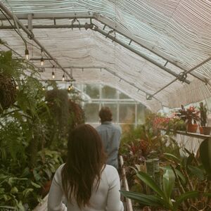 Gallery Photo 13