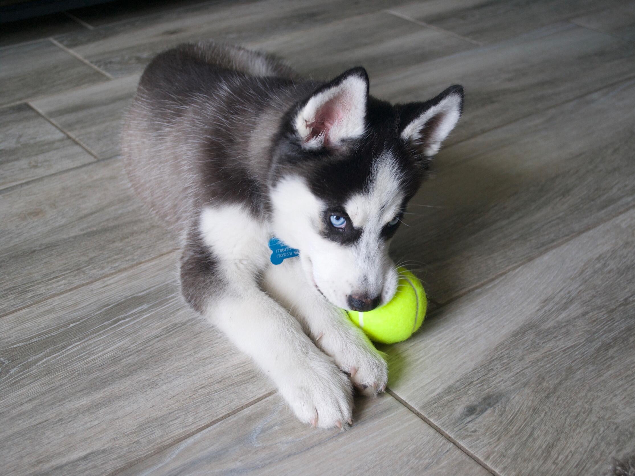 photo