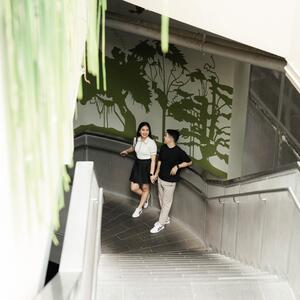 Gallery Photo 10