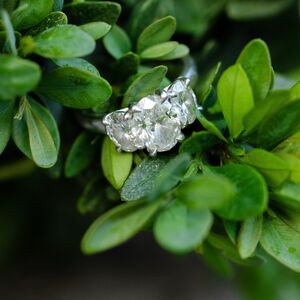 Gallery Photo 31