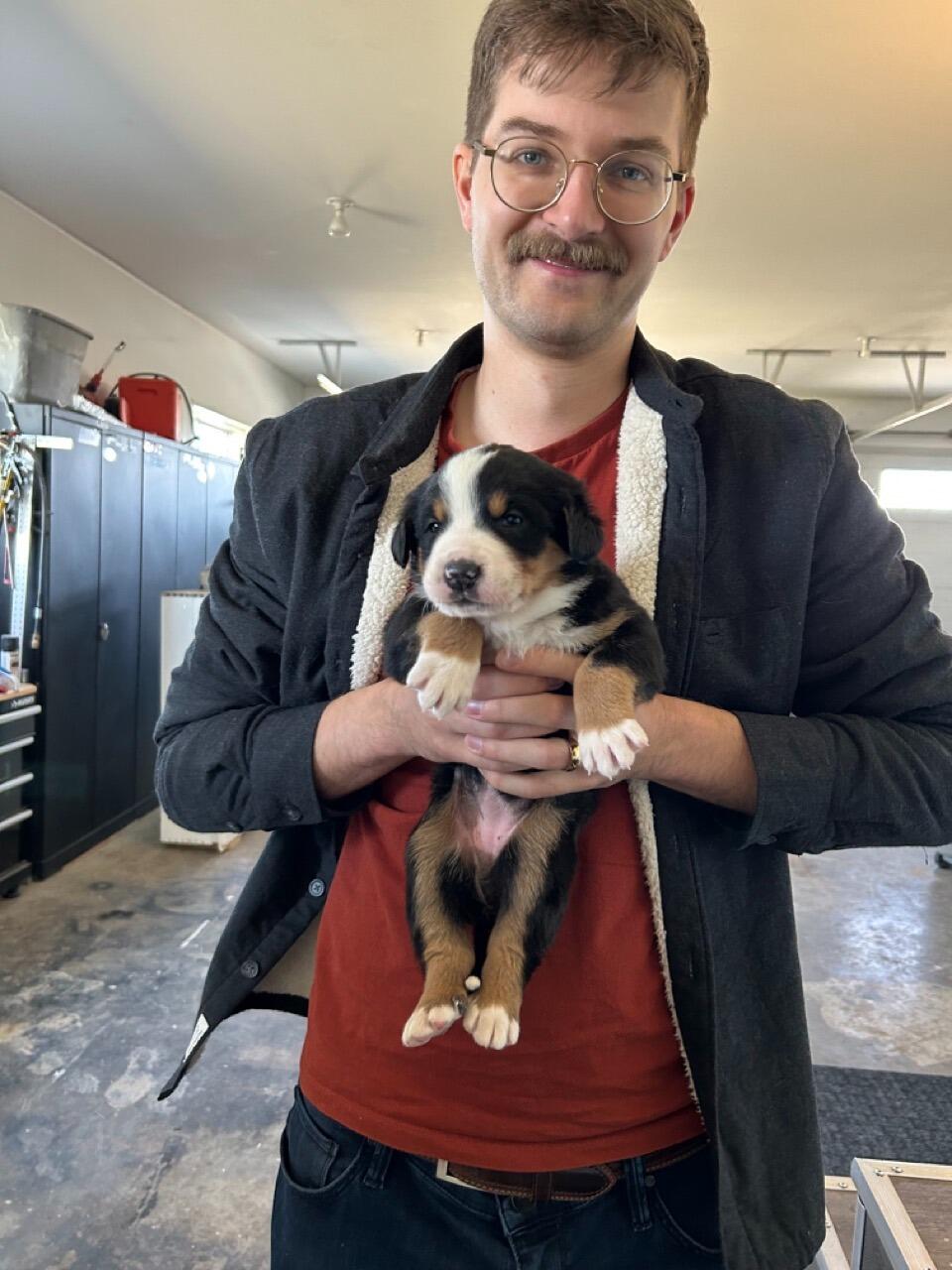 We tried to pick the laziest puppy of the litter. We were wrong.