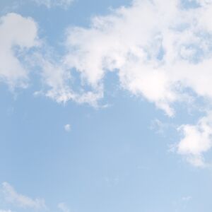 Gallery Photo 14