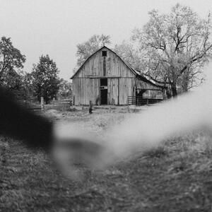 Gallery Photo 23