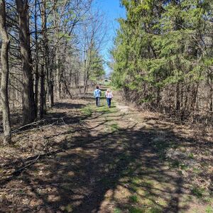 Gallery Photo 26