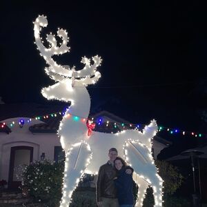 Gallery Photo 18