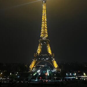 Gallery Photo 107
