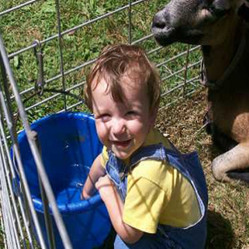 The Barn Yard Traveling Petting Zoo - Animal For A Party - Salem, OH - Hero Main