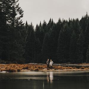 Gallery Photo 8