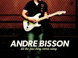 Andre Bisson Rhythm & Blues Experience - Oldies Band - Hamilton, ON - Hero Gallery 2