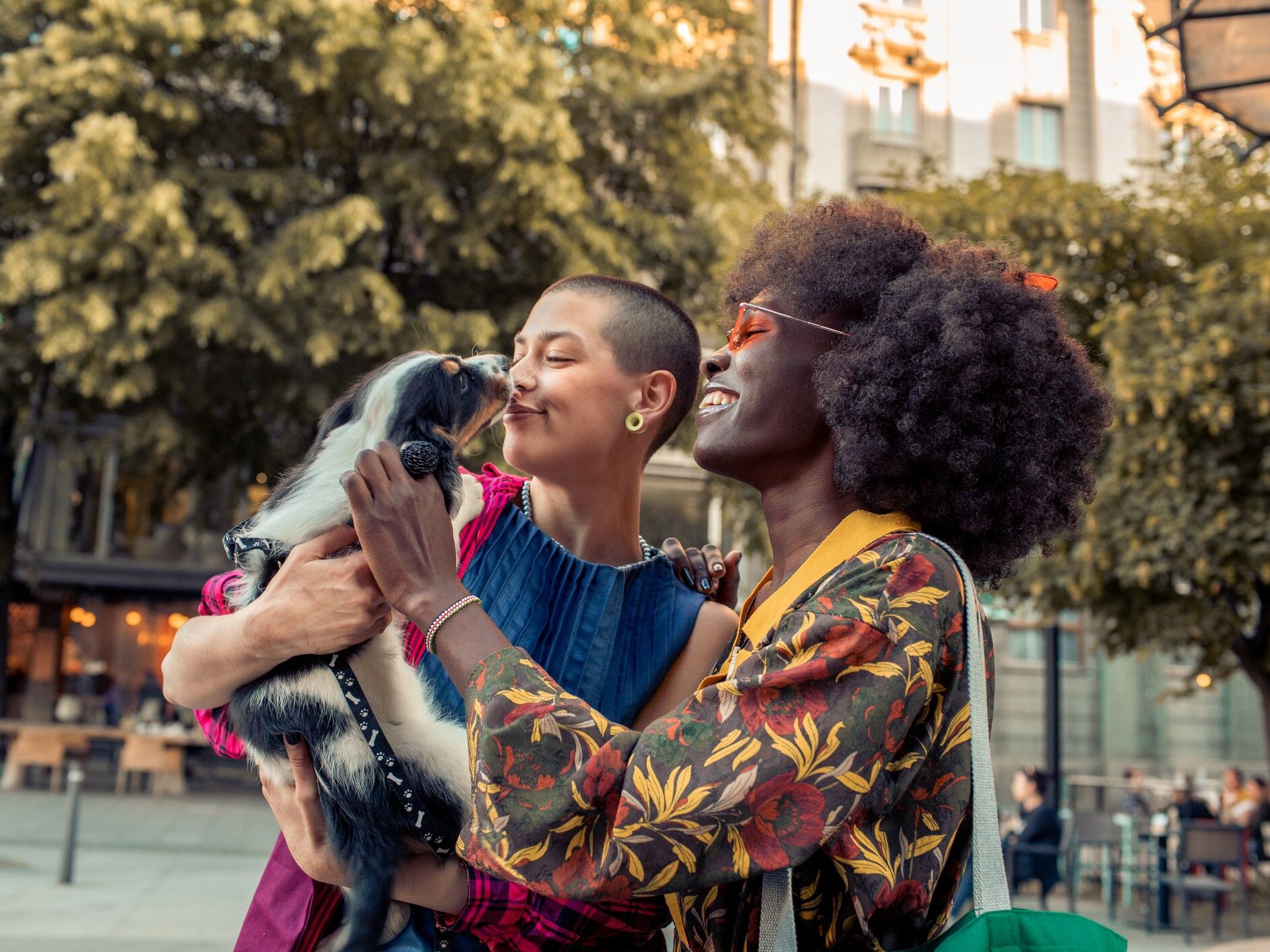 What to Know Before Getting a Pet Together