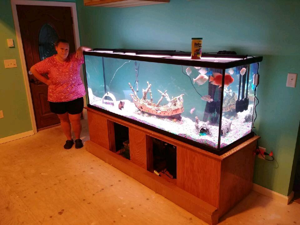 Our new addition in the addition! A 265 gallon fresh water fish tank! 🐟 