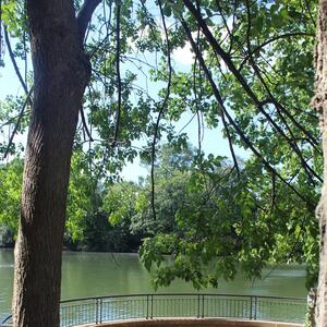 Gallery Photo 39
