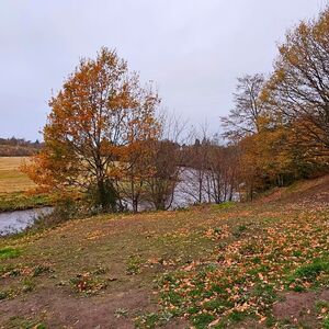 Gallery Photo 115