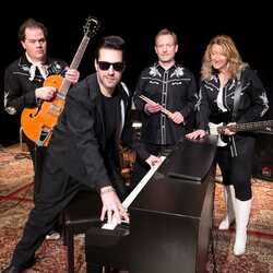Terry Lee Ridley & The Million Dollar Band, profile image