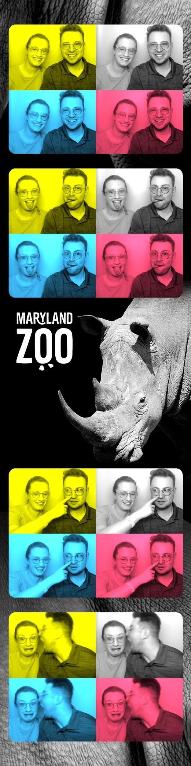 Brew at the Zoo in Baltimore, Maryland.