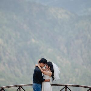 Gallery Photo 14