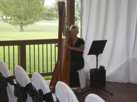 Mary Ellen Holmes - Harpist - Fort Collins, CO - Hero Gallery 3