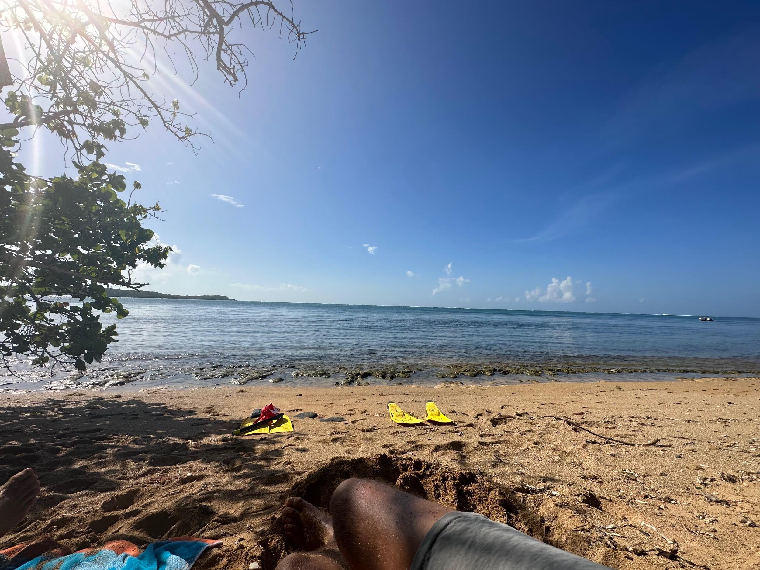 Puerto Rican beach paradise where Darian popped the question to Melanie!