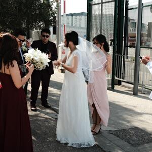 Gallery Photo 164