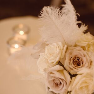 Gallery Photo 336