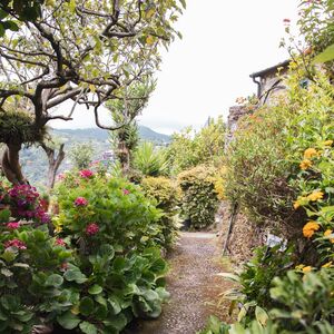 Gallery Photo 59