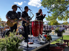 The Tracy Quinn Band - Jazz & Blues - Blues Band - Colorado Springs, CO - Hero Gallery 2