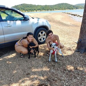 Gallery Photo 64