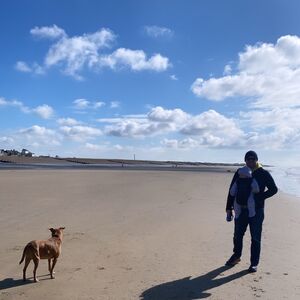 Gallery Photo 33