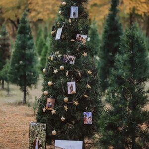 Gallery Photo 14