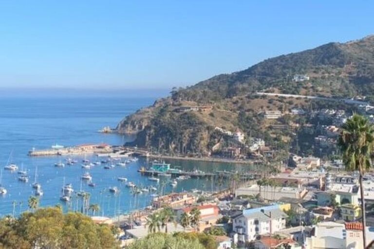 🎉For Jeremy's birthday, Danielle planned a romantic trip to Catalina Island, California. 🌴 They woke up early and set off on the Catalina Express ferry from the port in San Pedro, California, filled with excitement for the day ahead. 🚢 Their adventure began with a delicious fresh seafood lunch, savoring the flavors of the ocean. 🦞 They then embarked on a wild safari tour of the island, marveling at the majestic wild bison and the stunning landscapes. 🦬🌄 Strolling casually along the charming store fronts, they soaked in the island's vibrant atmosphere. 🏬

The highlight of their day was the underwater boat tour, where they were mesmerized by the colorful fish and sea plants, witnessing the beauty of God's creation beneath the waves. 🐠🌿 This special day was a testament to their love and the joy of sharing new experiences together. 💖
