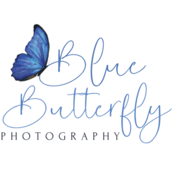 Blue Butterfly Photography, profile image