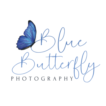Blue Butterfly Photography - Photographer - Boston, MA - Hero Main