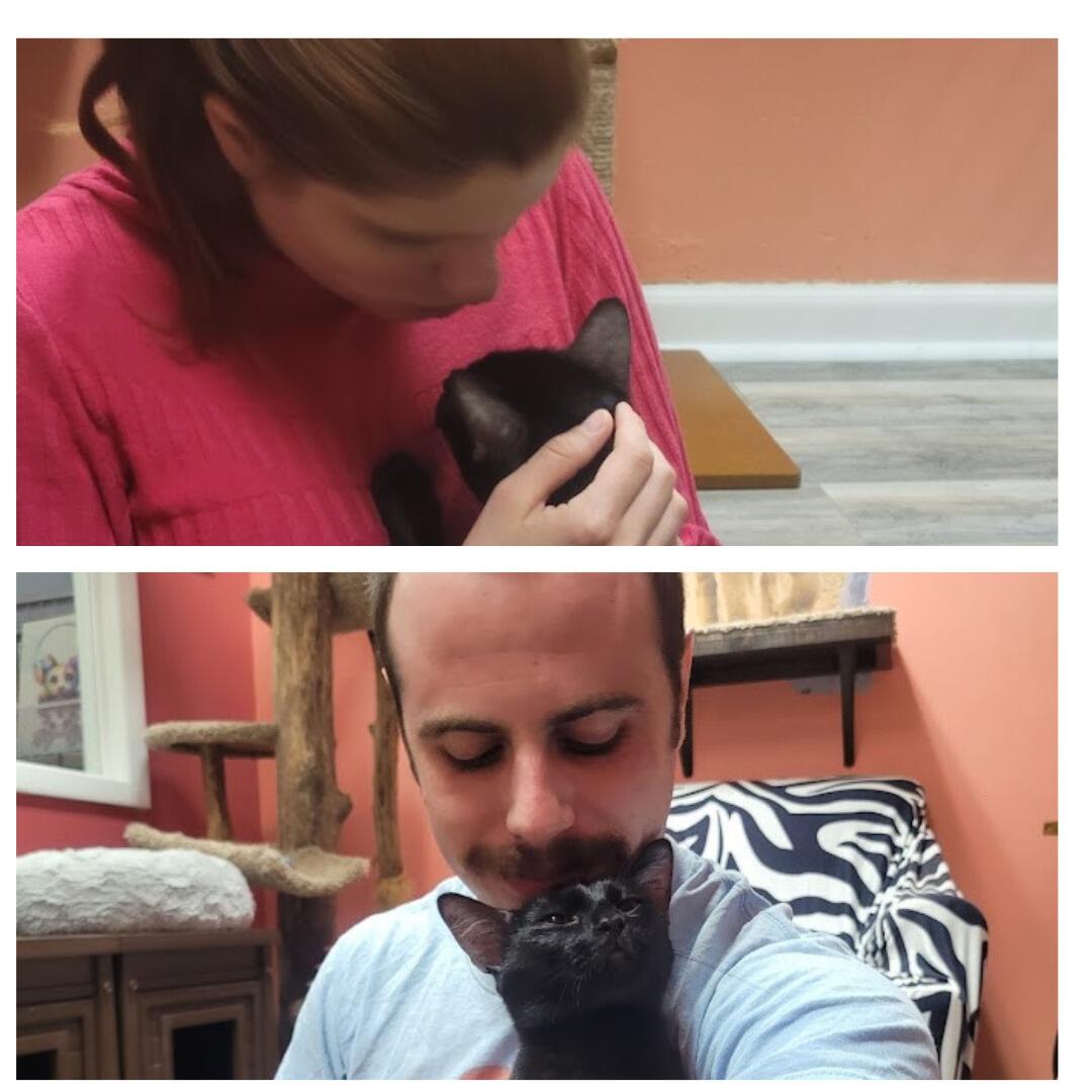 They decided to grow the family by adopting their two fur babies Mittens and PJ. Mittens fell in love with Ari, and PJ fell in love with Georgeta right away. They knew it was a match made in heaven.