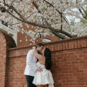 Gallery Photo 31