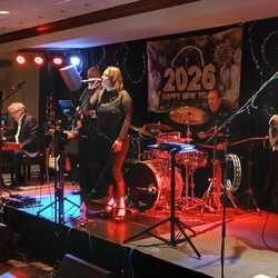 the Groovadelix - cover band, profile image