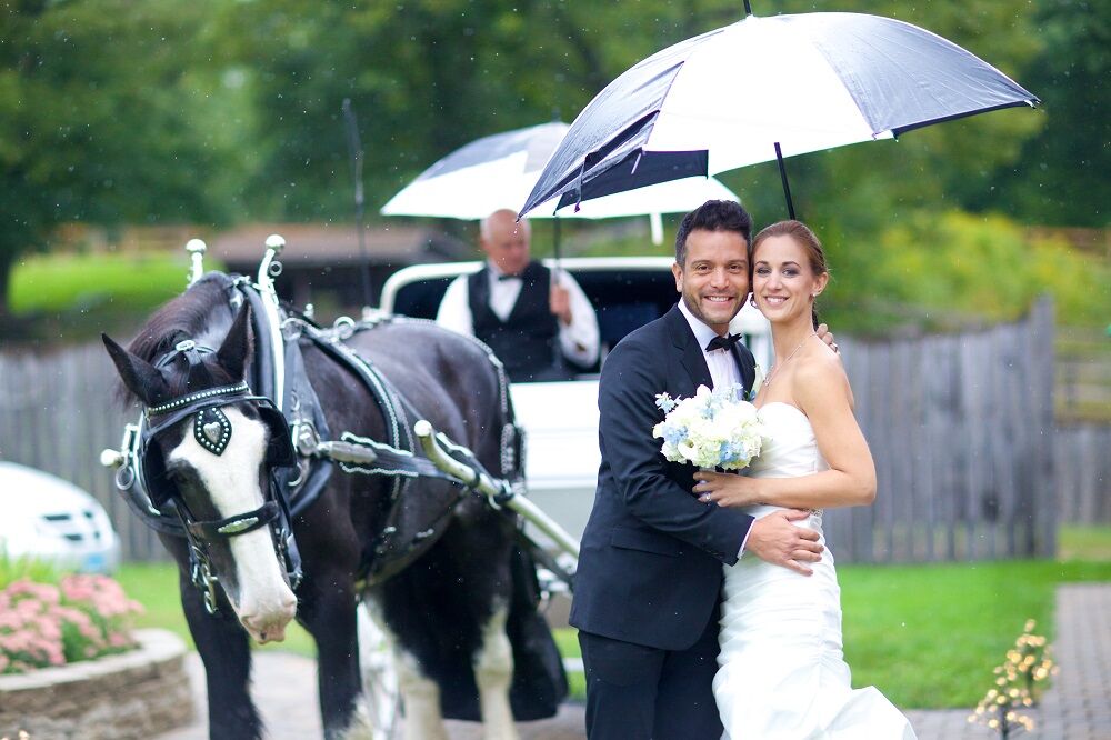  Wood  Acres Farm Carriages Country Weddings  Reception  