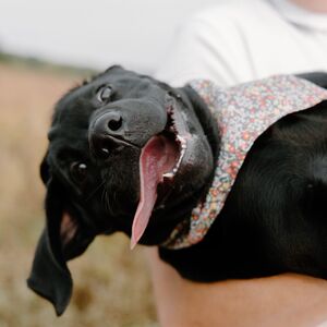 Gallery Photo 26