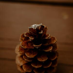 Gallery Photo 4